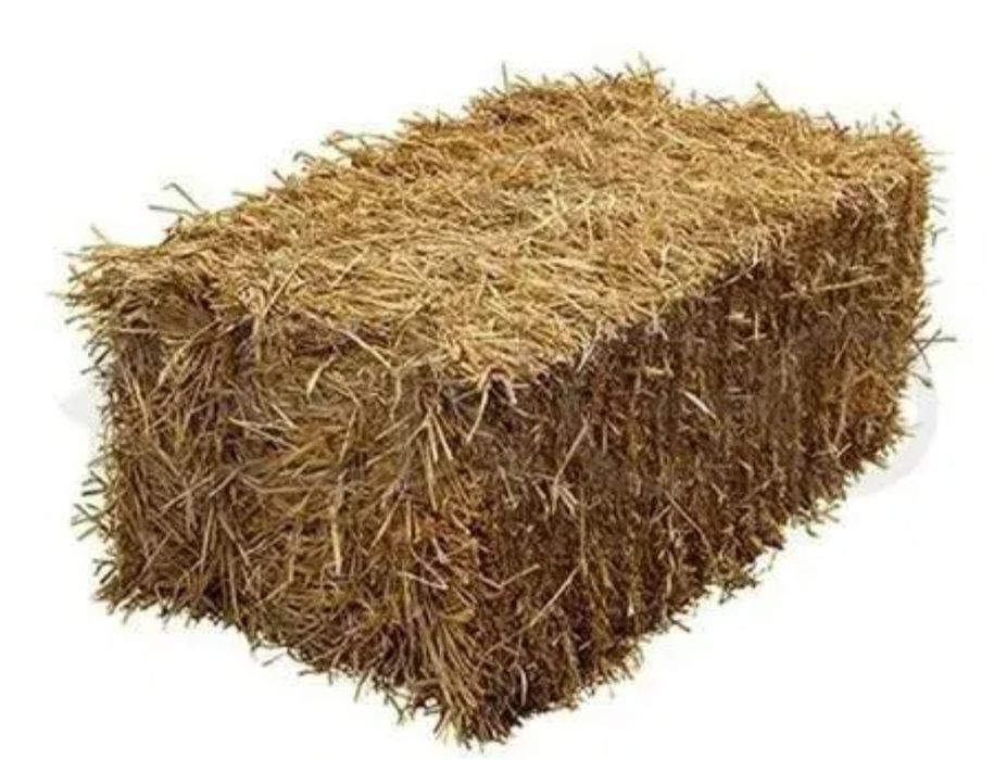 солома пшенична тюк