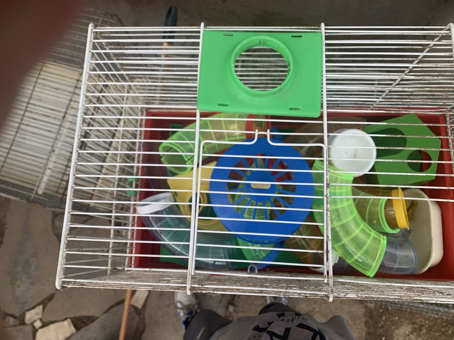 Gaiola para amster como nova