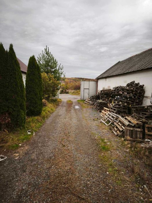 Здаються складські приміщення, с. Великі Лази Код: 18220