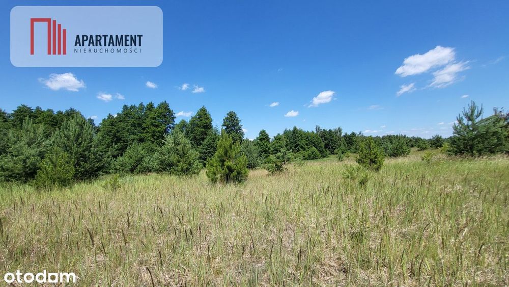Działki z WZ - świetna lokalizacja natura, jezioro