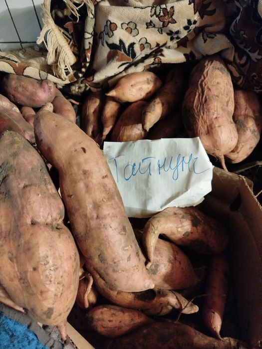 Батат різних сортів