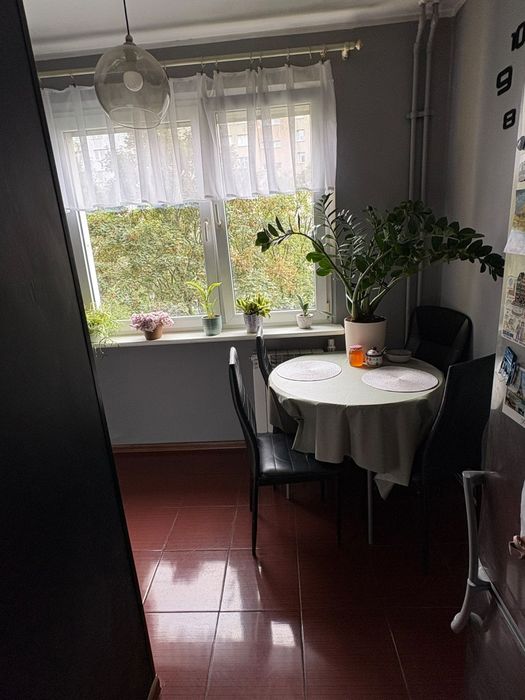 Kawalerka z oddzielną kuchnią