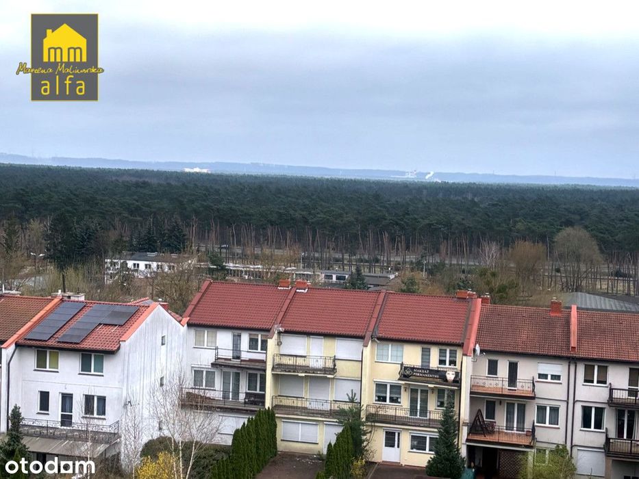 Nietuzinkowe mieszkanie po generalnym remoncie.