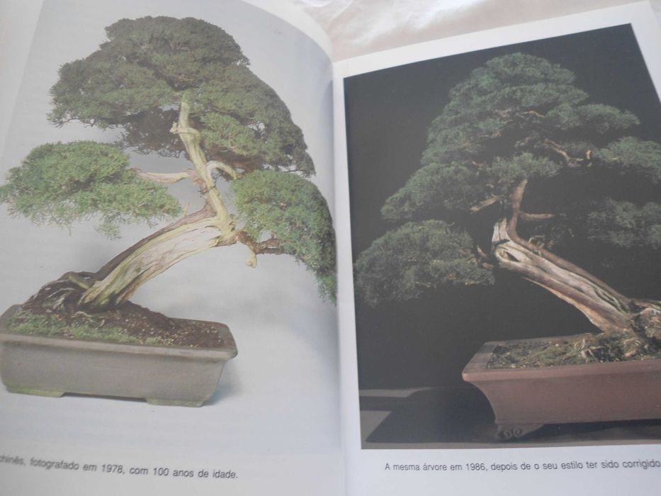 The Art of Bonsai by Peter Adams64550982150914124
