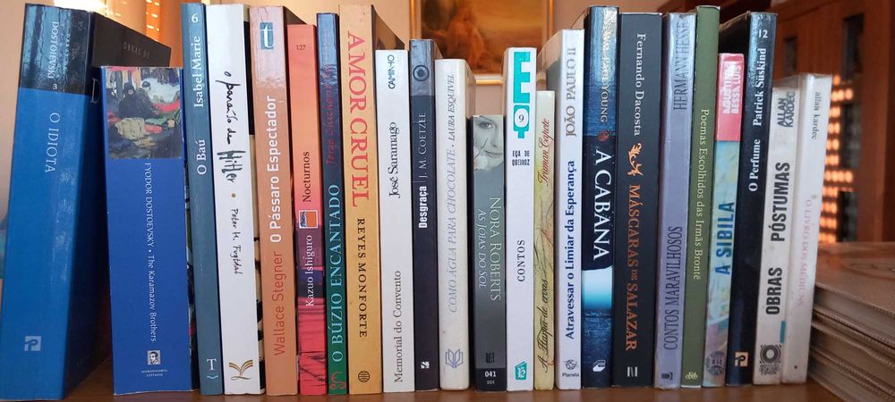 Livros diversos para desocupar