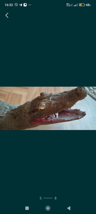 продам крокодила)