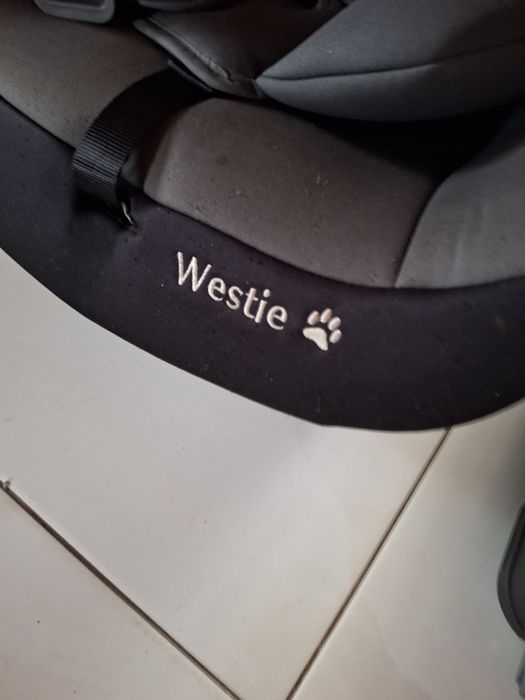 Fotelik dziecięcy Baby Safe