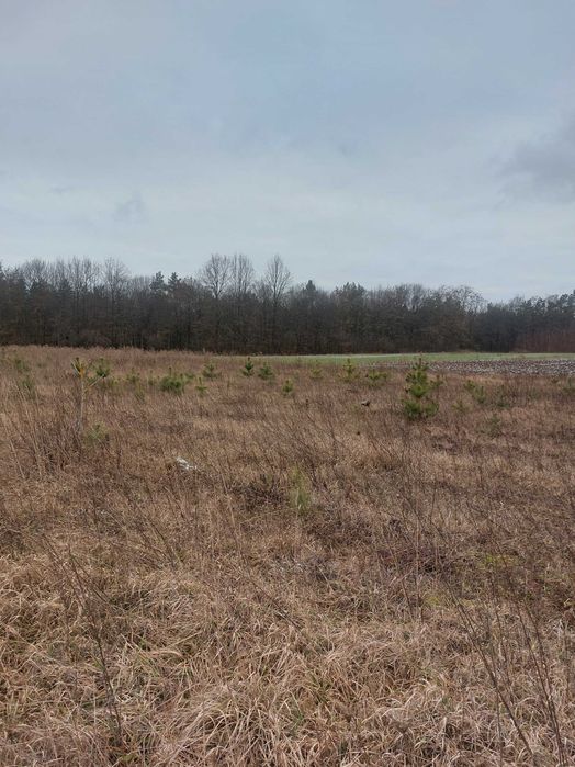 Продаж земельної ділянки с.Кунин