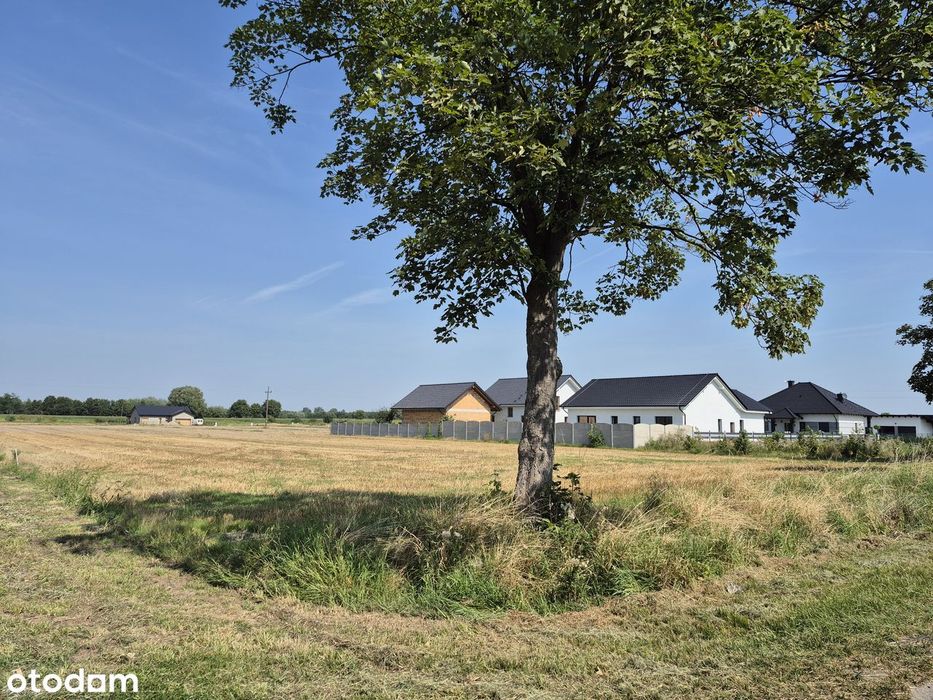 Działka 1000 m² Bucz, Gmina Przemęt - View 2