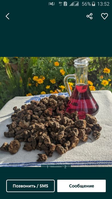 Ча га березка ,з города своє