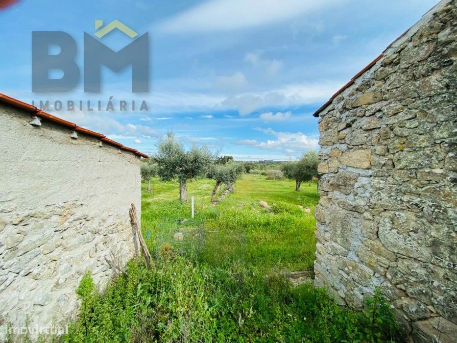 Quinta em zona rural tranquila