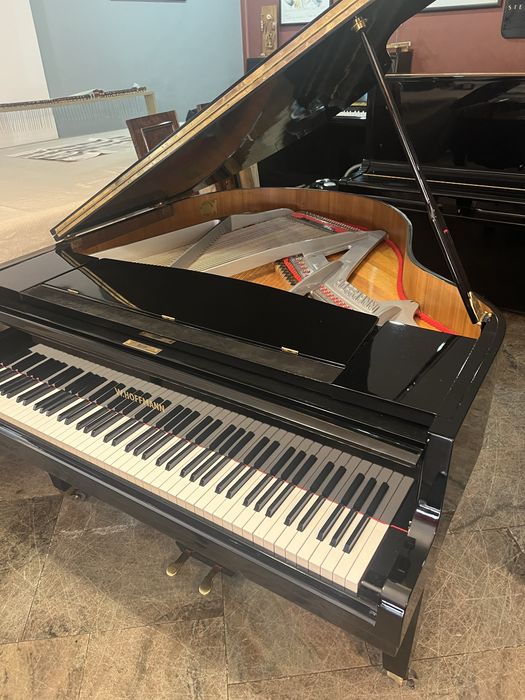 Piano cauda 165 cm grande qualidade W.Hoffmann alemao