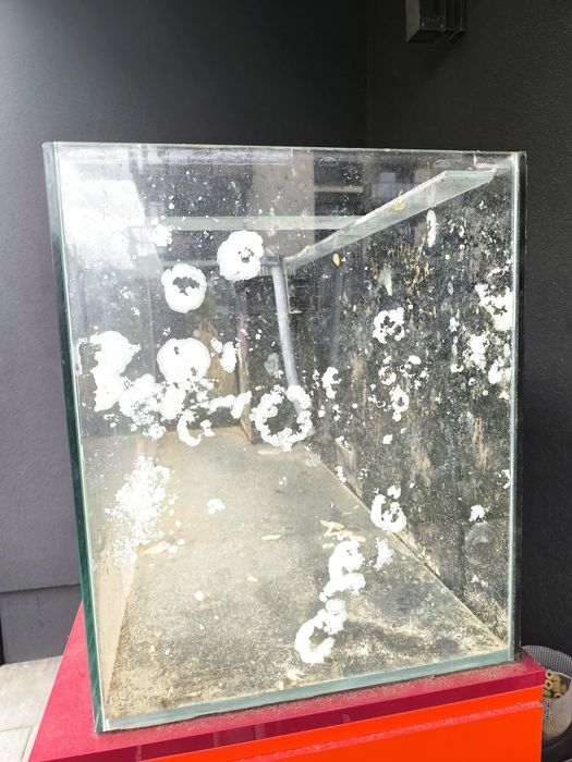 Akwarium morskie z szafką 300L