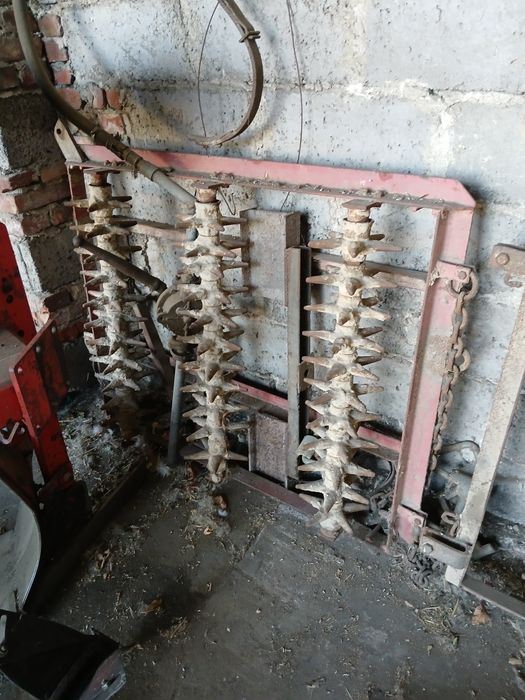 Kolczatka do  pługa