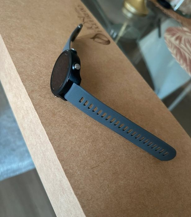 Garmin Forerunner 24564585320825217123