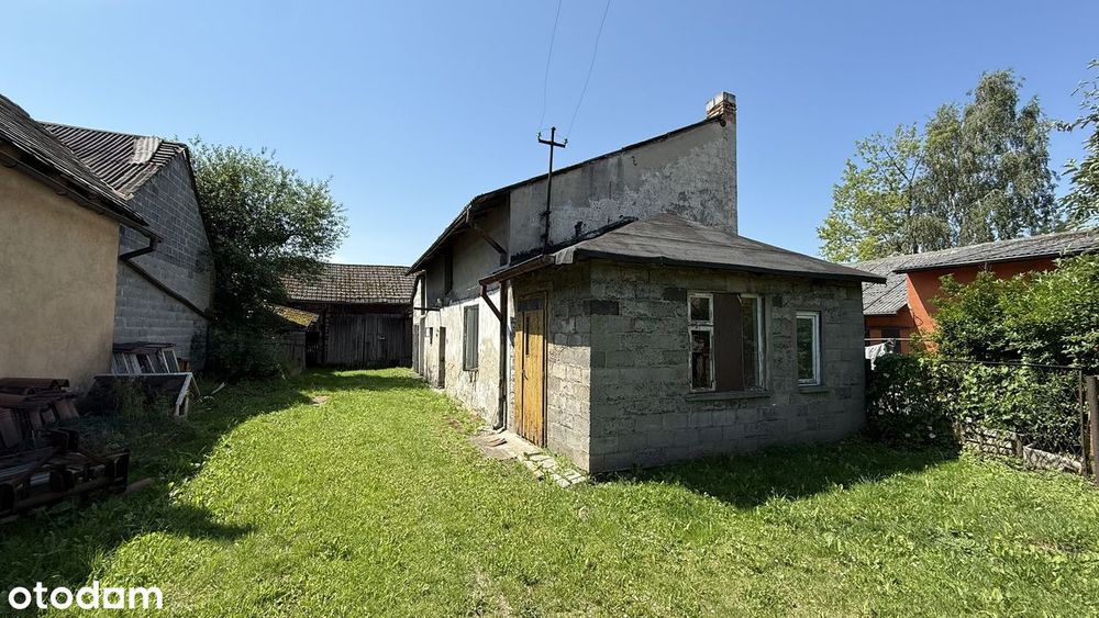 Zdjęcie 5