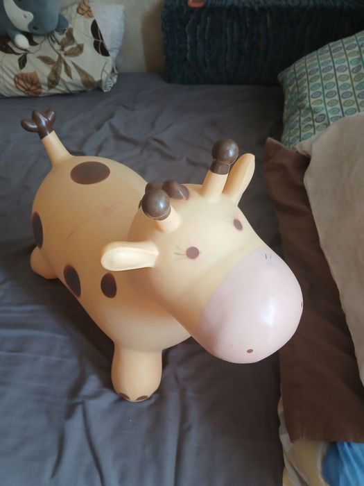 Детский попрыгун