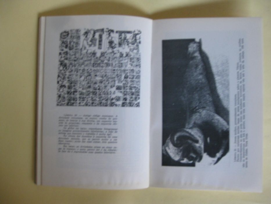 De Volta ás Civilizações Perdidas de Quixe Cardinale