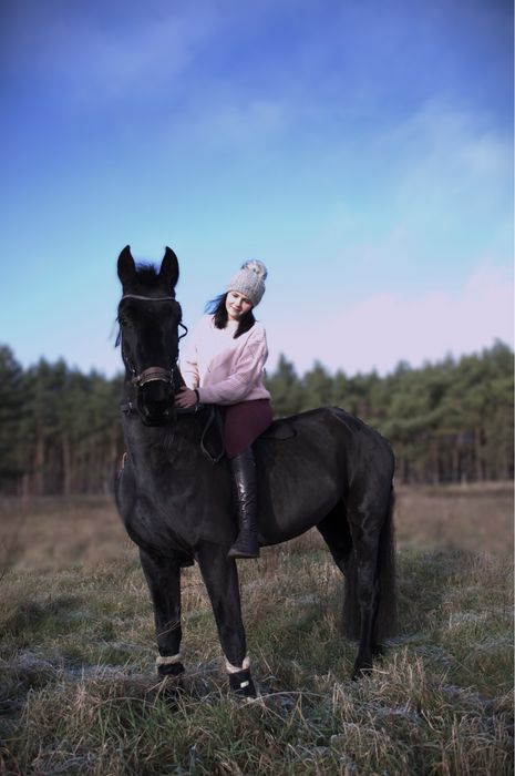 Wspoldzierzawa klaczy