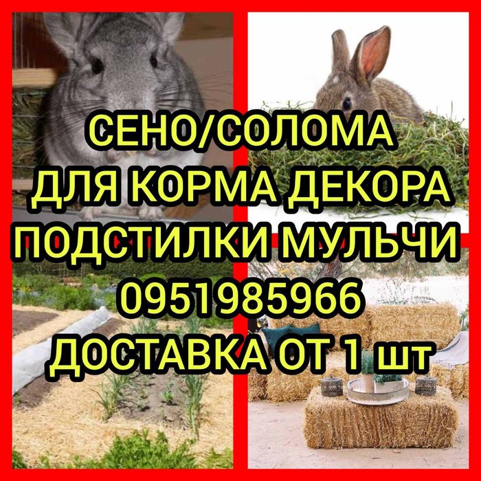 ‼️Сено 2026 сіно в тюках мешках (фацелии и др). Для КРС, лошадей, коз, овец‼️