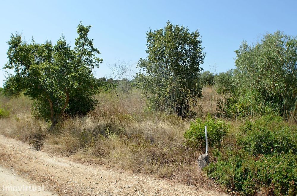 Terreno  para venda