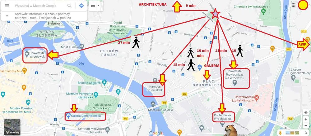 Plac Grunwaldzki pokoje jednoosobowe