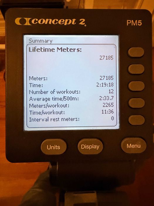 Concept2 RowErg — Como Nova | 999€