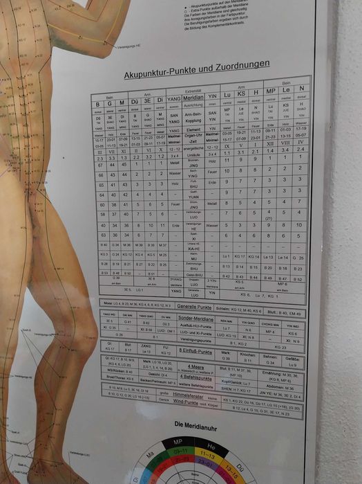 Posteres acupuntura