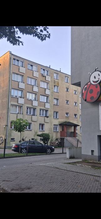 Kawalerka do wynajęcia