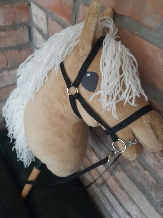Konik hobby horse