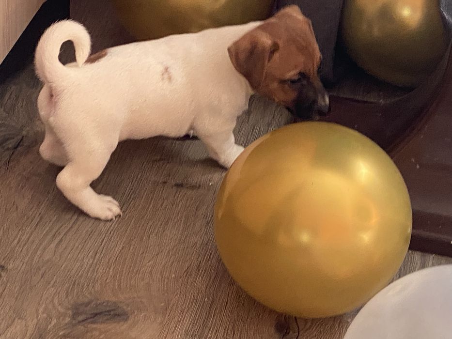 Найкращий подаруночок