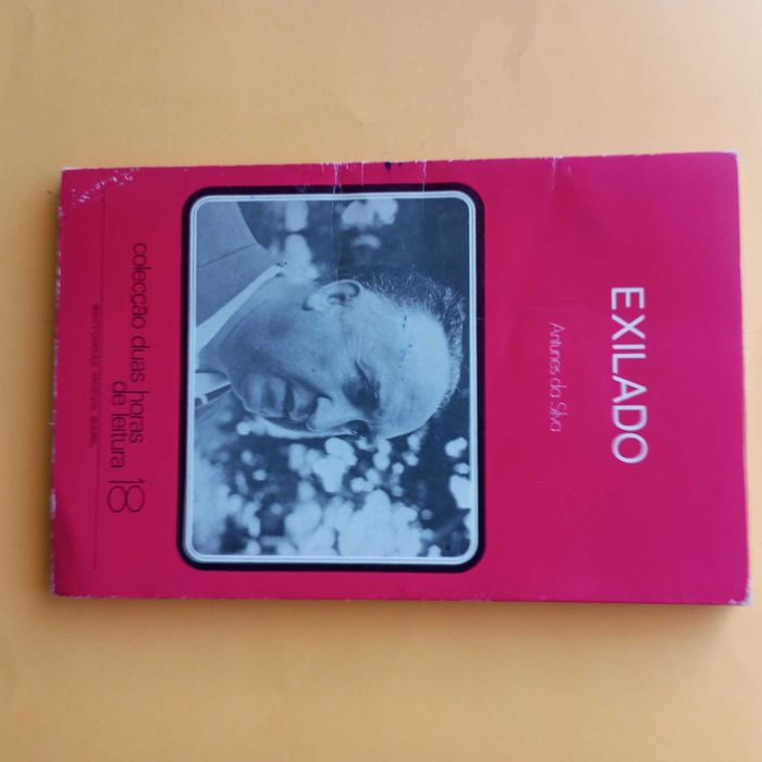 Coleção de Livros Mistos - Autores Variados - Conjunto 11