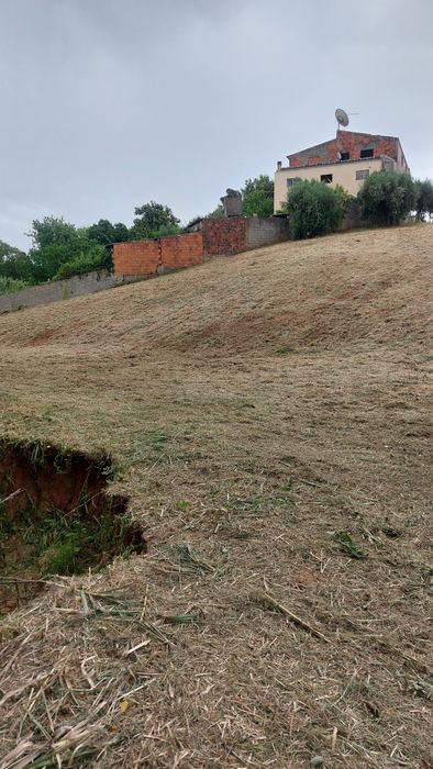 Limpeza de terrenos com destroçador pedestre- rápido e eficaz