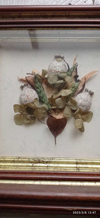 Quadros antigos com flores desidratadas