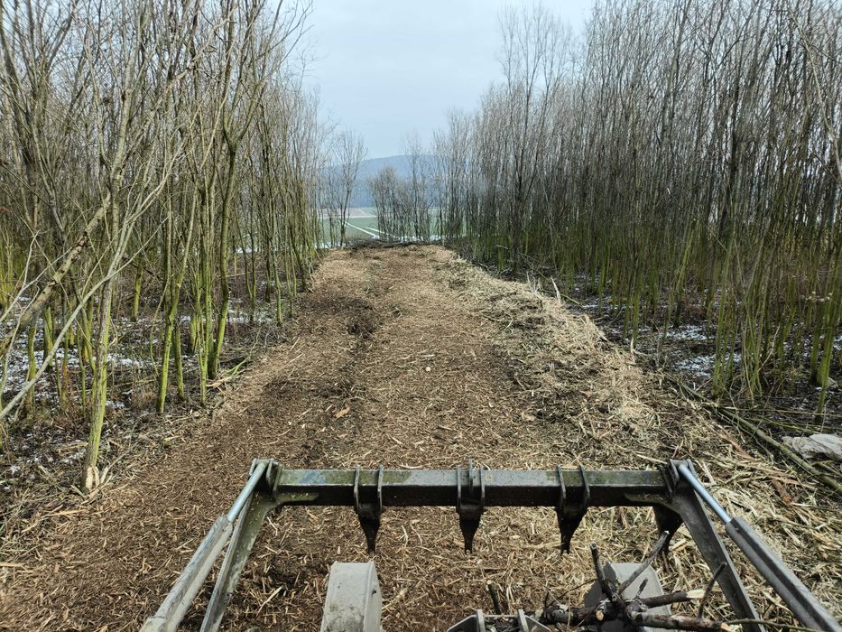 Mulczer wgłębny, Wycinka drzew, Karczowanie, Rekultywacja, Czyszczenie