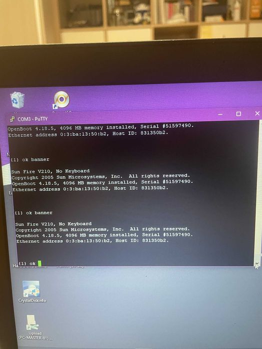 Sun Microsystems SunFire V210