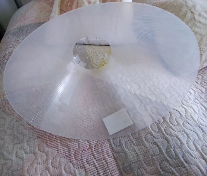 Colar de proteção para cão