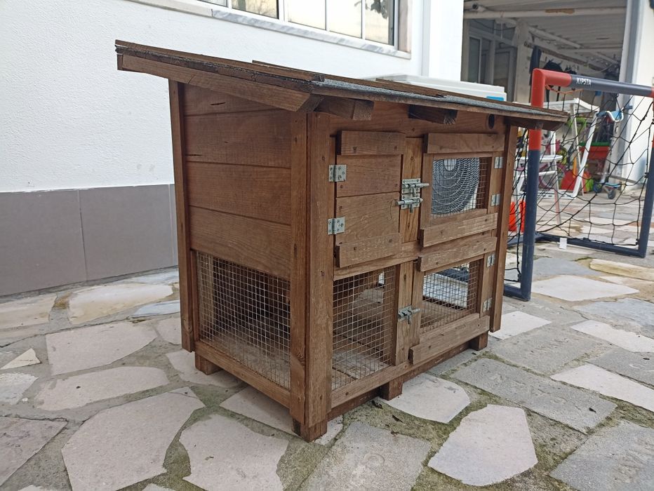 Casinha porco da India