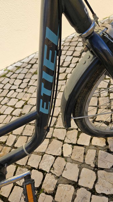 Bicicleta de adulto com 3 rodas