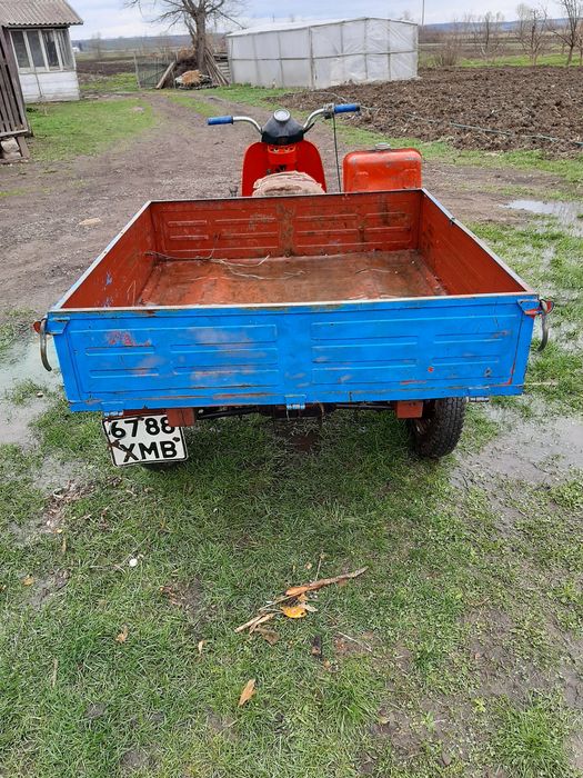 Муравей с документами