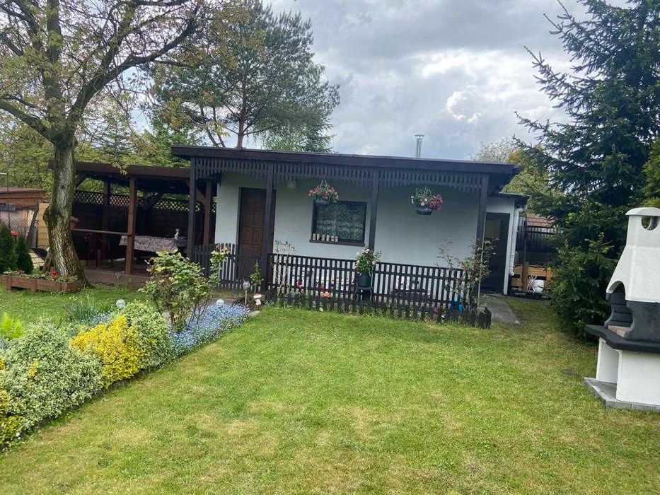 Piękna działka ROD Sosnowiec ul. Jaskółek - Widok 2