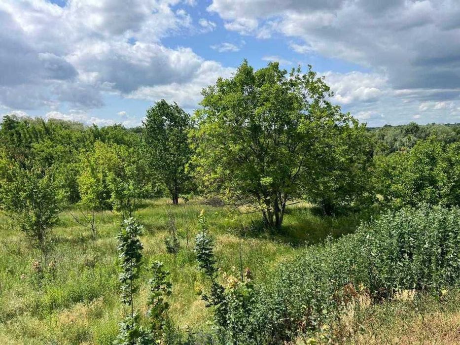 Продаж перспективної ділянки по вул. Шилівська