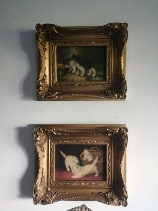 Quadros a óleo. Tema gatos