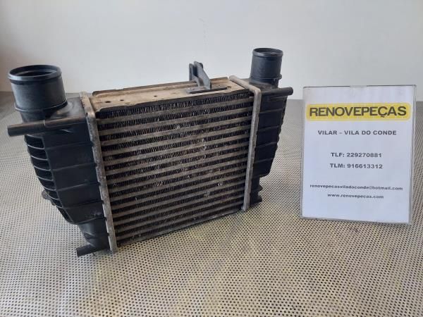 Radiador do intercooler RENAULT Clio III (BR0/1, CR0/1)