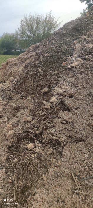 Zrębka / Trociny / Kora sosnowa