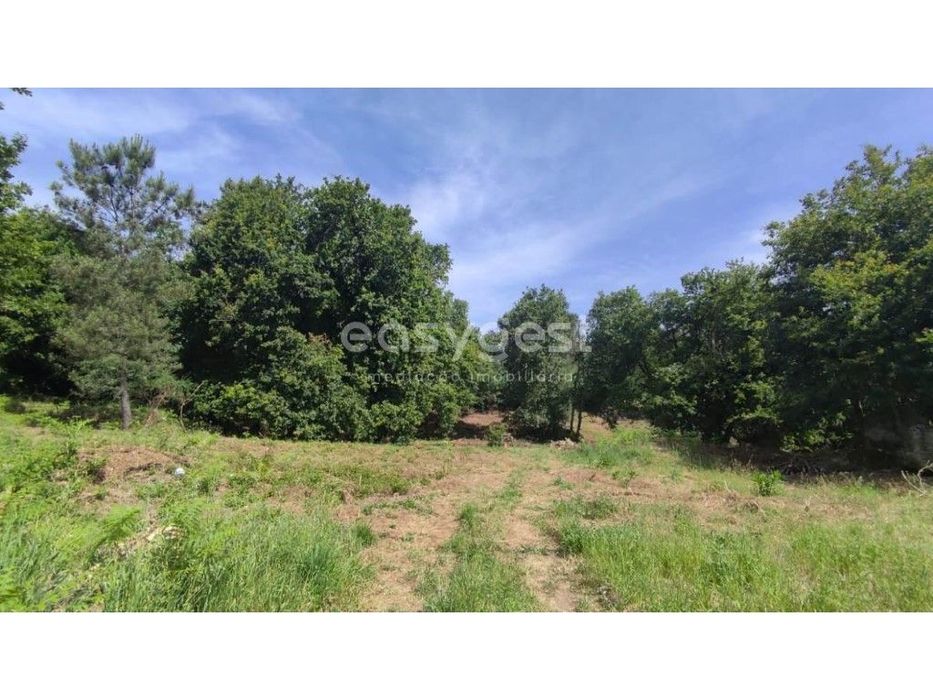 Land intended for construction, located in Coutos de Viseu