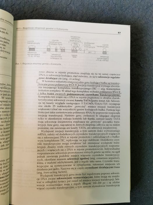 Krótkie wykłady genetyka