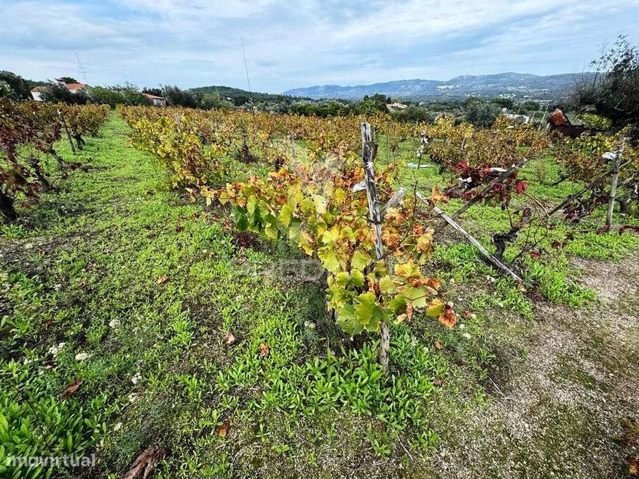 Quinta Rural T4