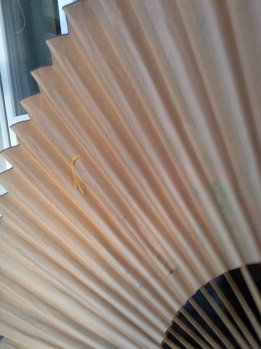 Очень красивый веер