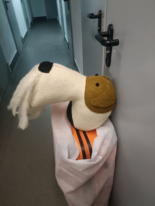 Cão decoração parede